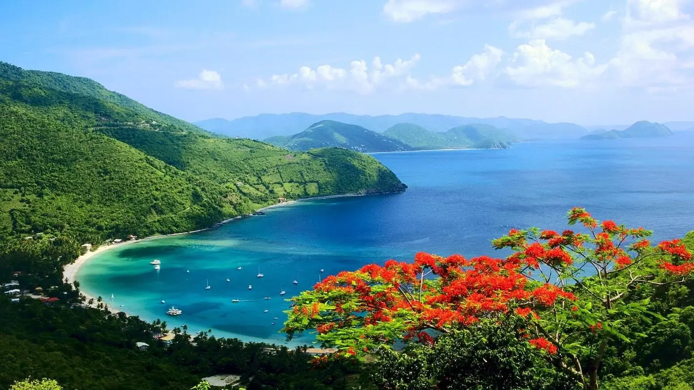 高标准高效